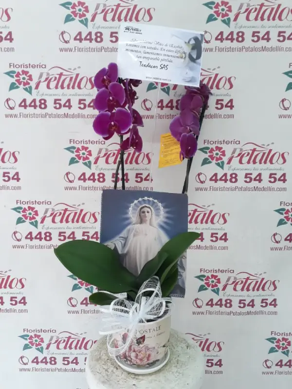 Flores Floristería Sabaneta 106